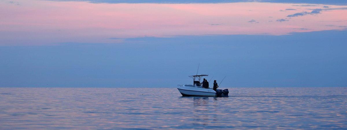 Camps And Lodges On Lake Victoria