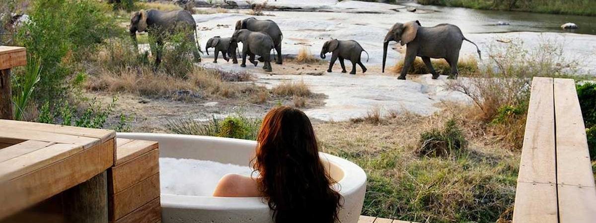 Londolozi Lodges