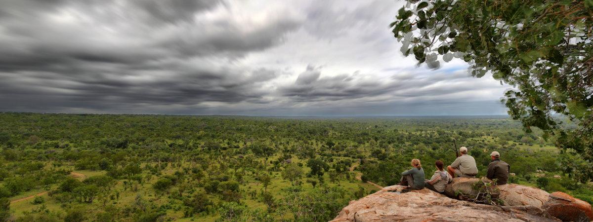 Luxury MalaMala Game Reserve Lodges