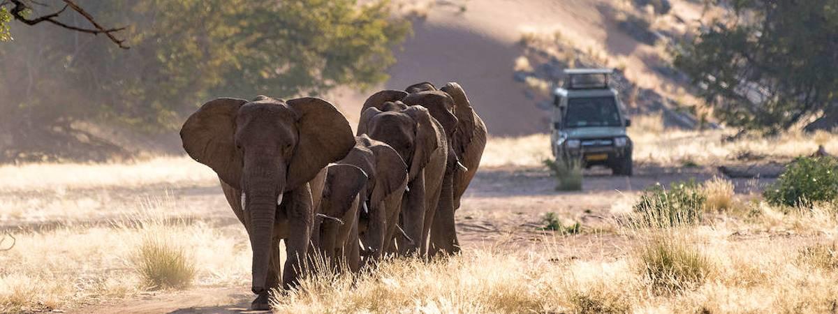 Accommodated Safaris By Road In Namibia