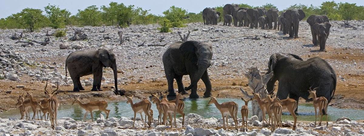 Namibia Travel