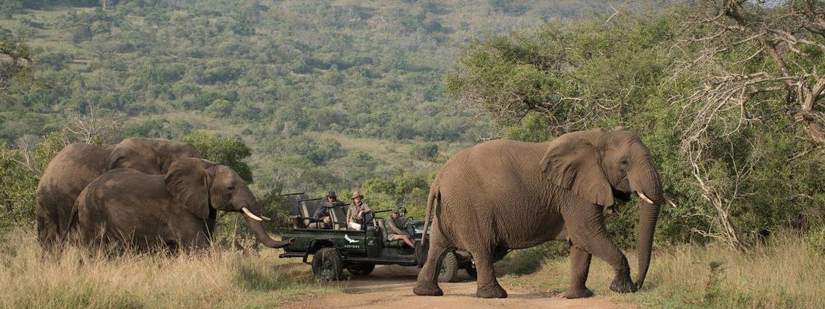 Safaris And Holidays In KwaZulu Natal