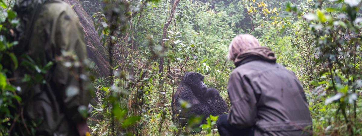 Rwanda Travel Guide