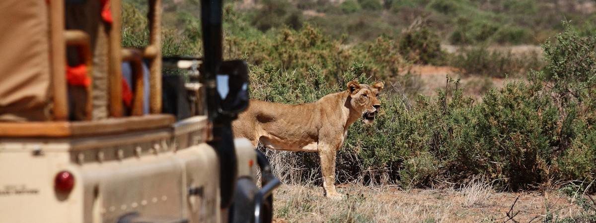 Kenya Safaris