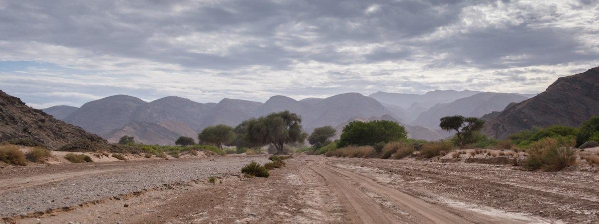 Safaris in Namibia