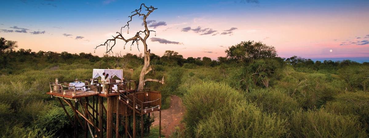 Star Beds in Africa