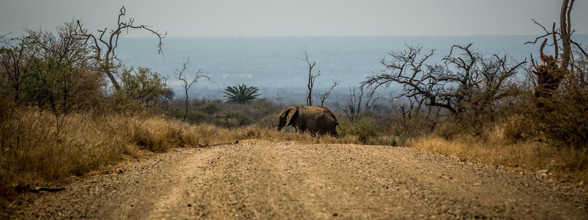 South Africa Game Reserves