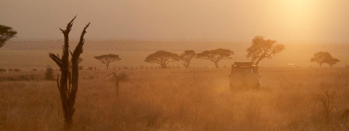 Tanzania Safaris