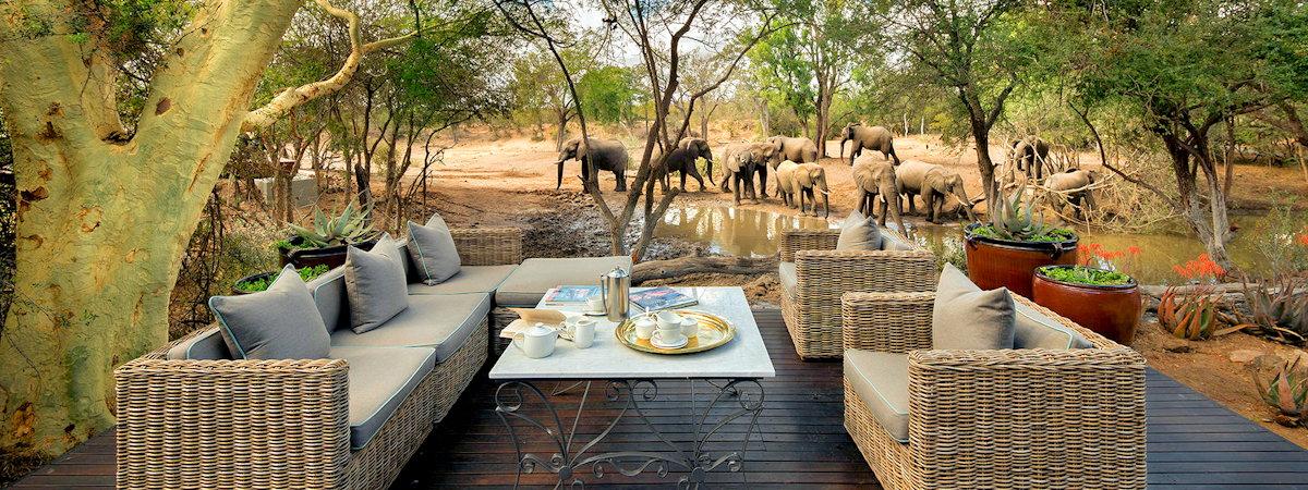 Lodges In the Timbavati Private Nature Reserve