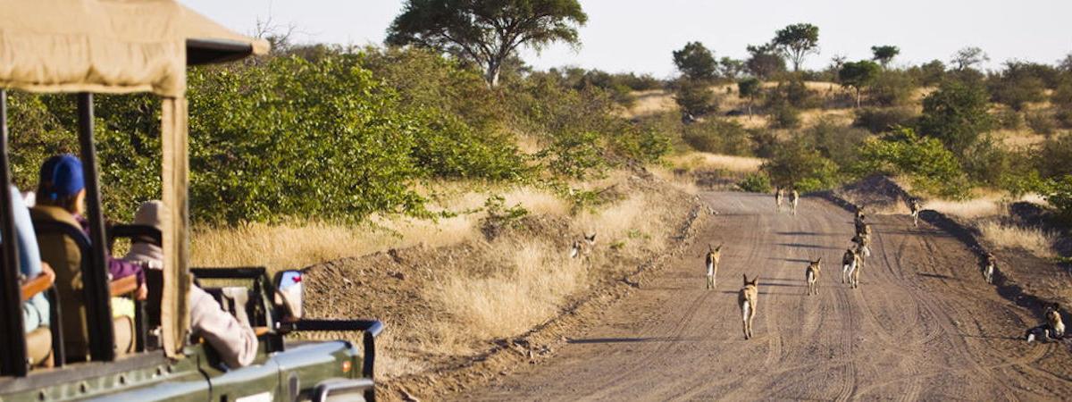 Tuli Block Lodges