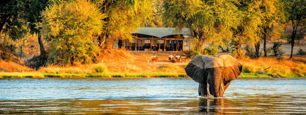 Lodges And Safari Camps In Zimbabwe