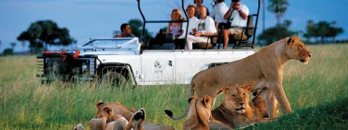 Zimbabwe Safaris