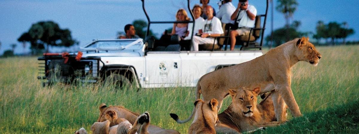 photo safaris in zimbabwe