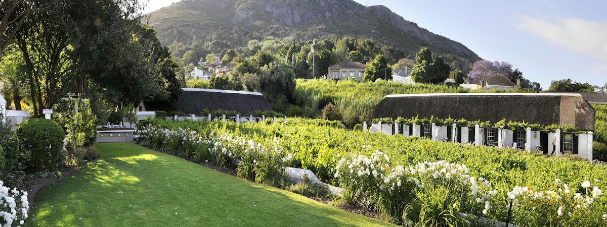 The 10 Best Hotels in the Cape Winelands for an Unforgettable Stay