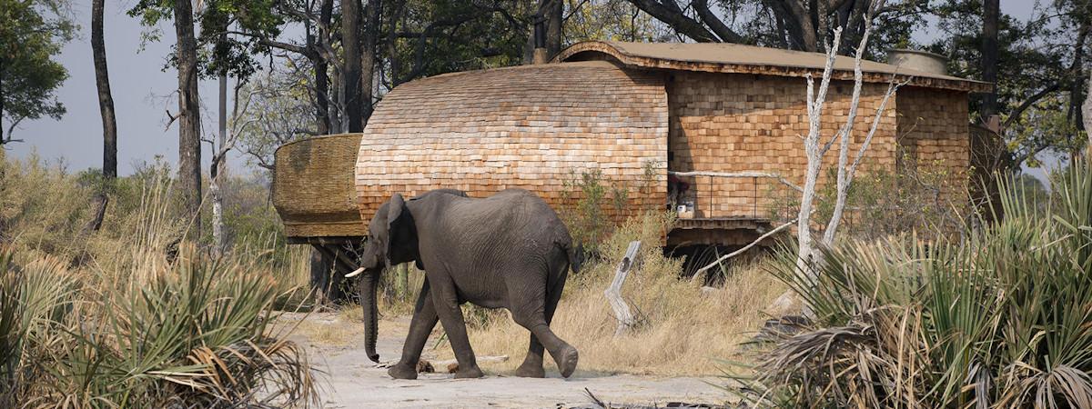 10 best lodges in the Okavango Delta for 2024