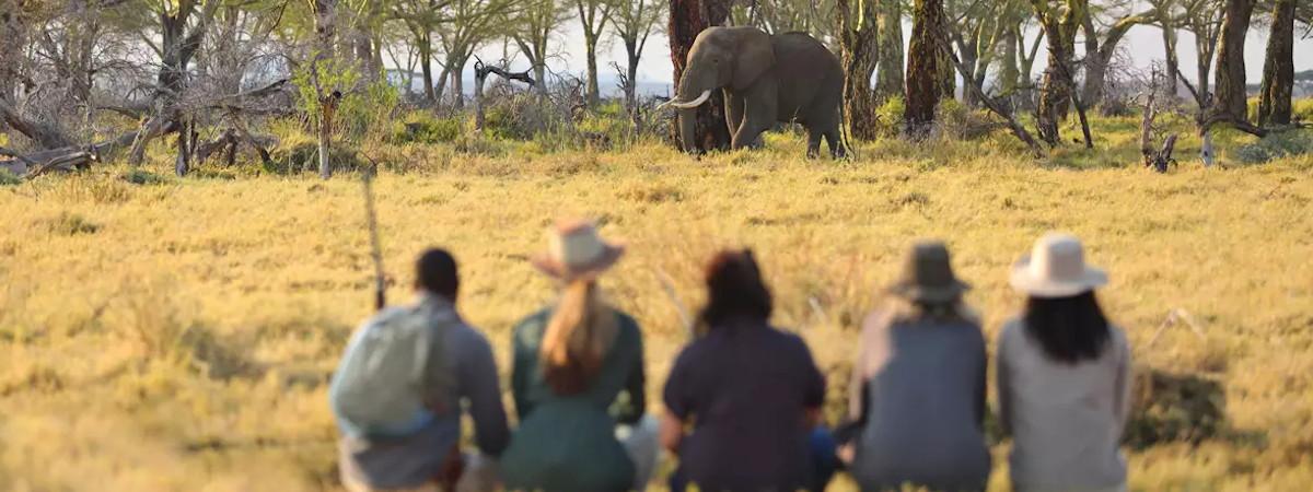 10 Best Serengeti Safari Holidays