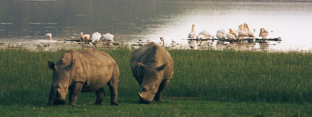 10 Must See Attractions in Kenya for an Unforgettable Experience