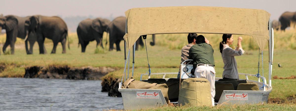 5 Best Lodges in the Chobe National Park for an Unforgettable Safari