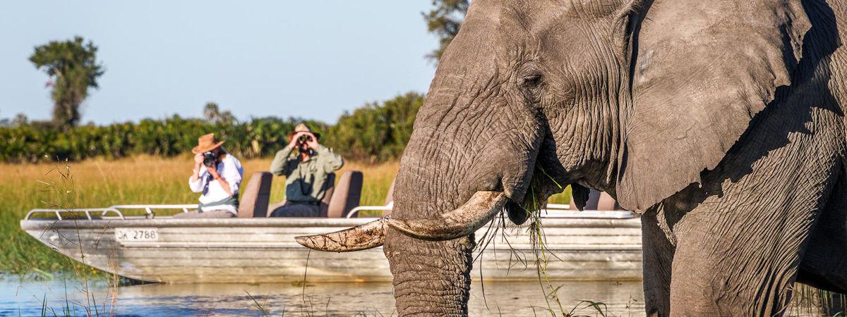 Discover the Best Botswana Safari Lodges for Your Next Adventure