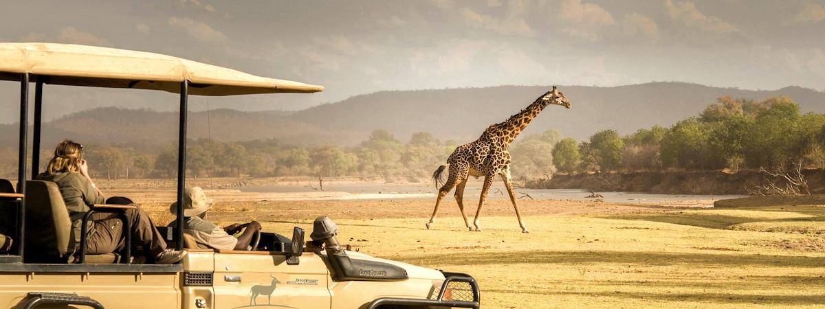 Best Safari Destinations In Zambia