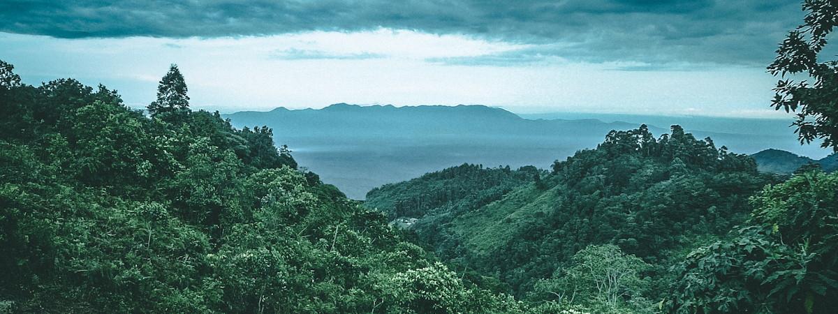 Bwindi Safari Experience Uganda