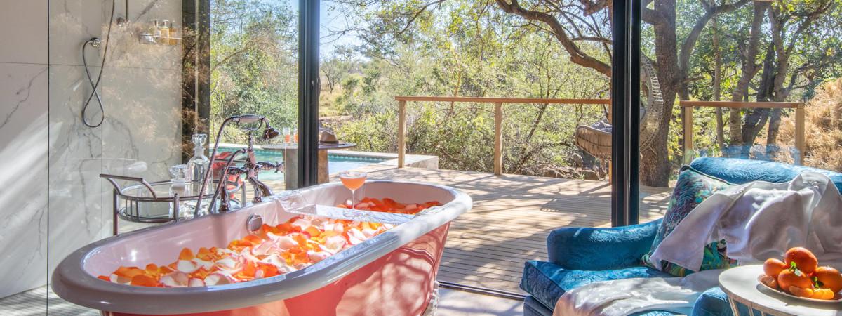 Private game lodges and reserves near the Kruger National Park