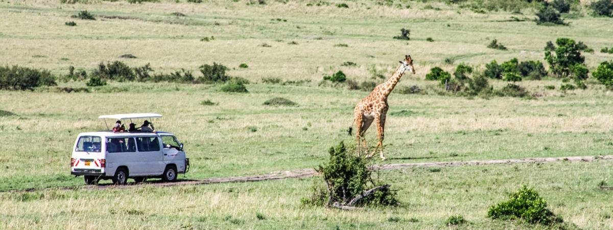 Tanzania Blog Posts
