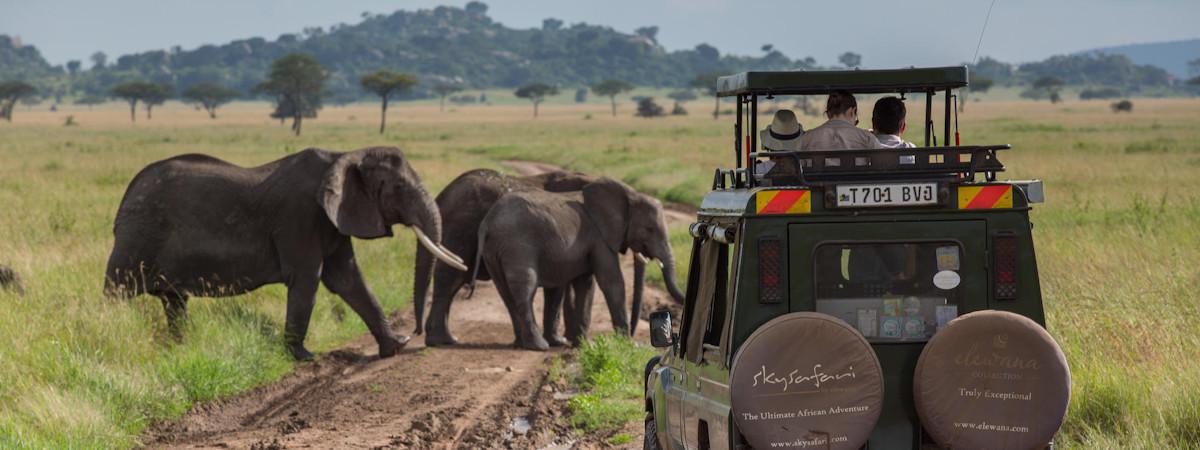 Honeymoon safari options in Tanzania