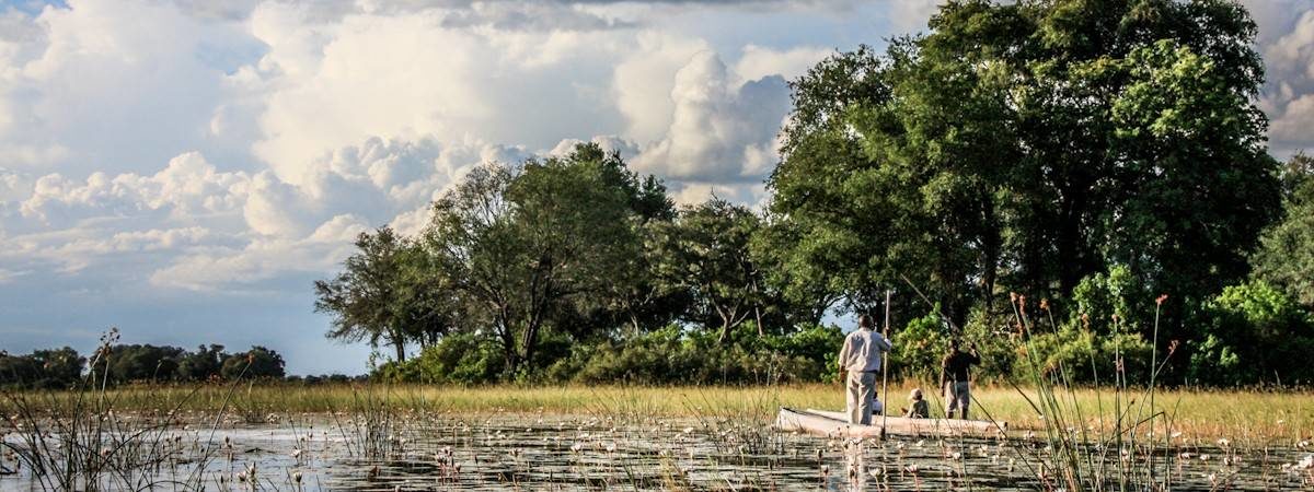 Okavango Delta Pictures