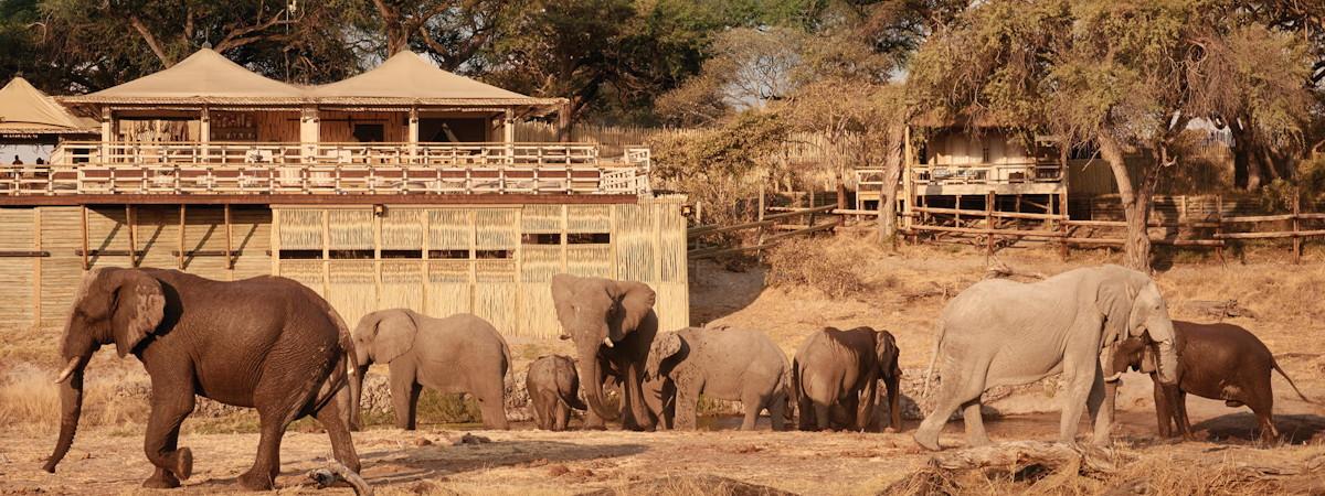 The luxurious Savute Elephant Lodge