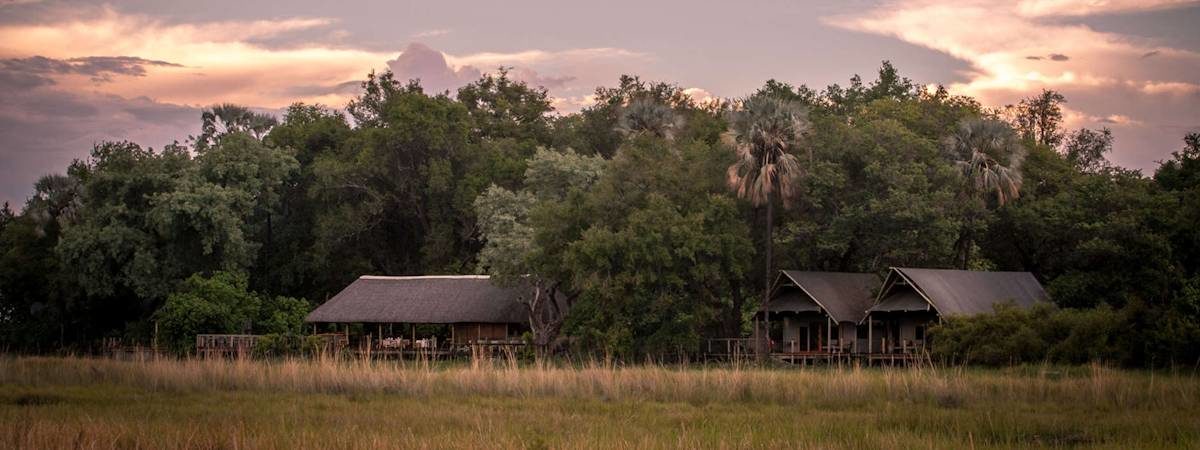 Chitabe Camp In the Moremi