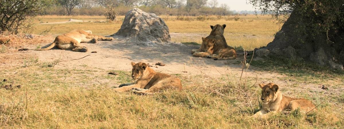 Botswana Adventure Safari