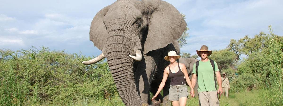 Botswana Honeymoon Spa Safari