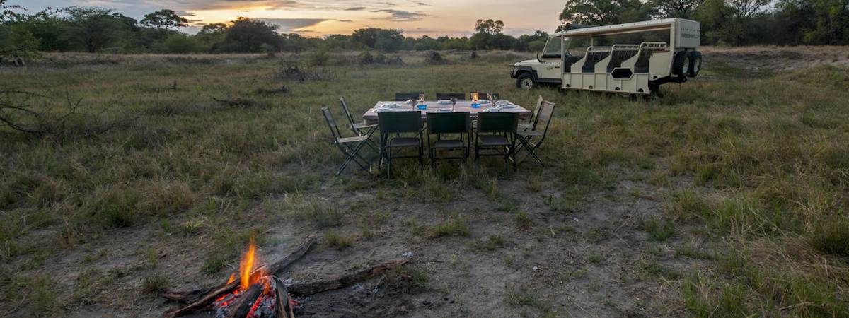 Botswana Lion Safari