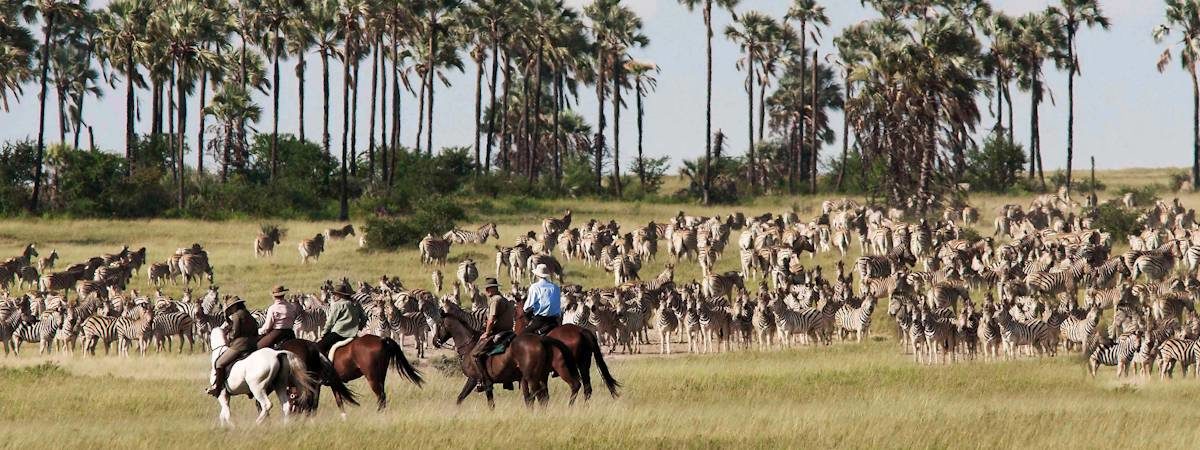 Horse Riding Makgadikgadi
