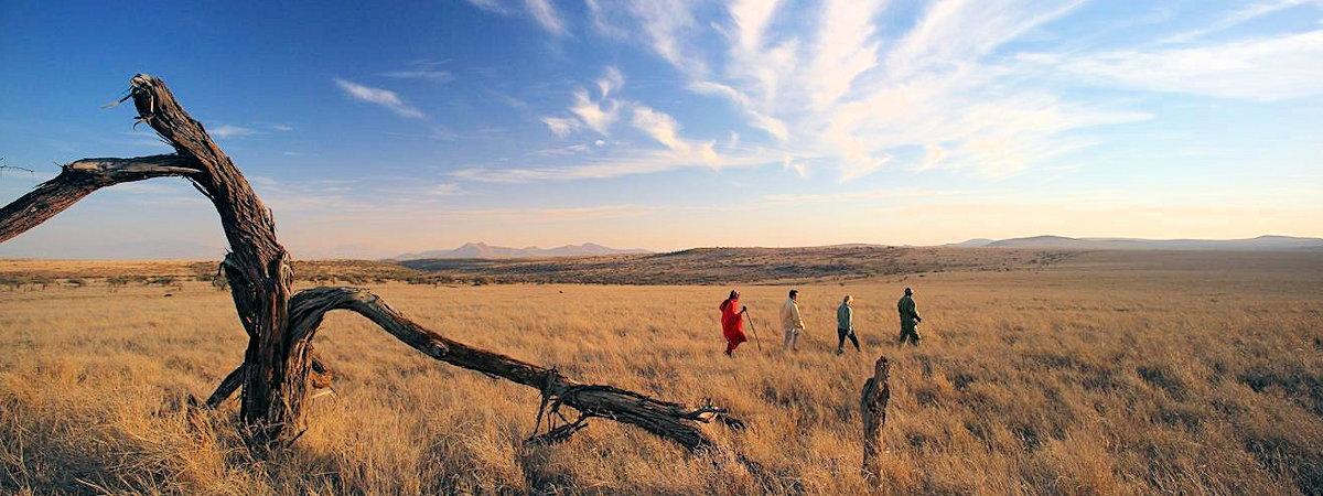 Elewana Lewa Safari Camp wildlife experience