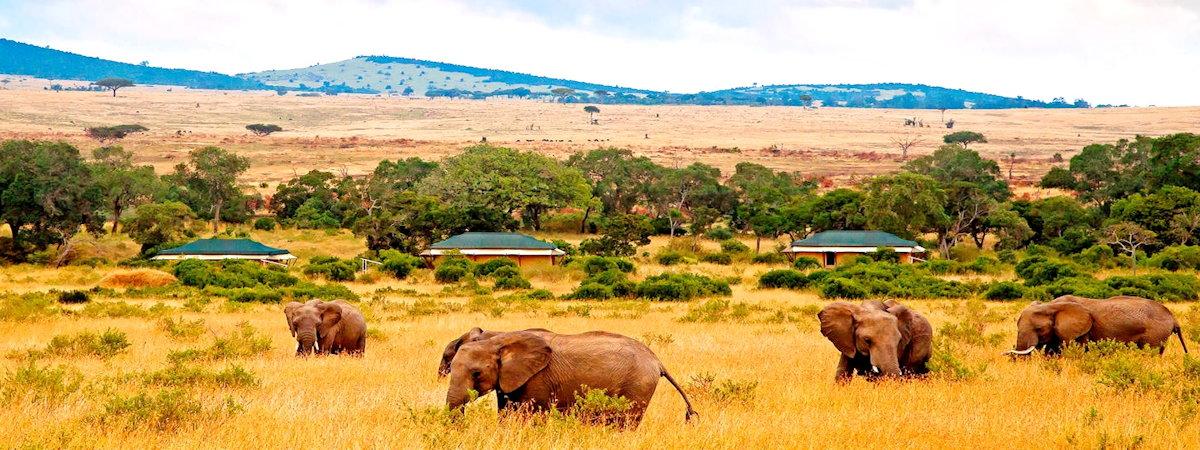 Keekorok Lodge, Masai Mara Game Reserve