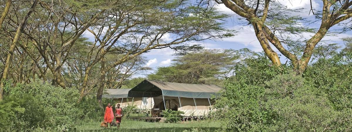Mara Porini Camp, A classic safari destination
