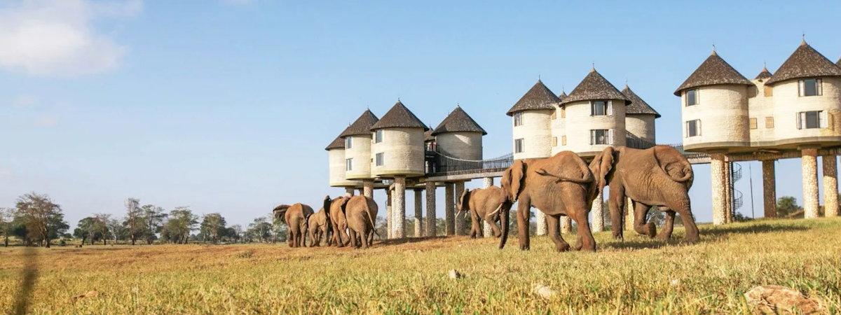 Sarova Salt Lick Game Lodge in the Taita Hills