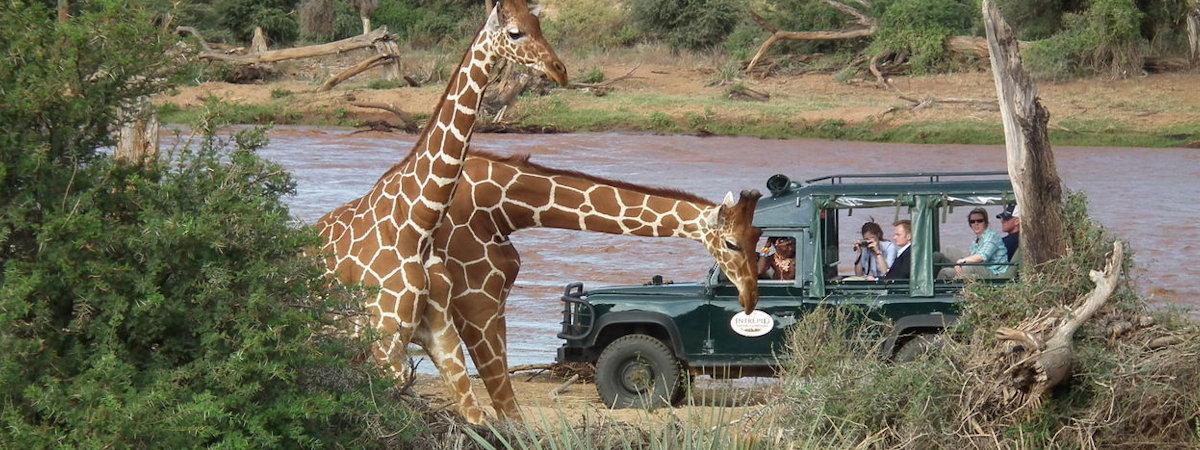 The classic Samburu Intrepids Camp in Kenya