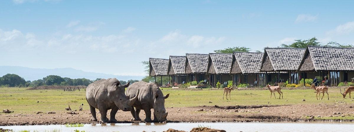 Sweetwaters Serena Camp in the Ol Pejeta