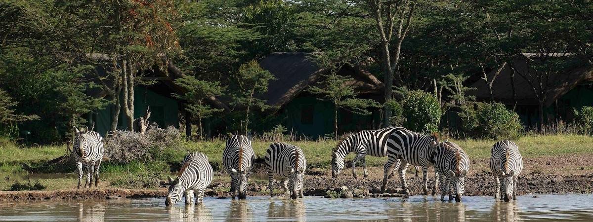 Sweetwaters Tented Camp