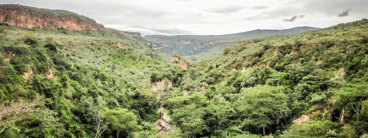 Chelis Tented Safari