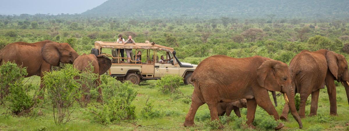 Kenya Explored Safari