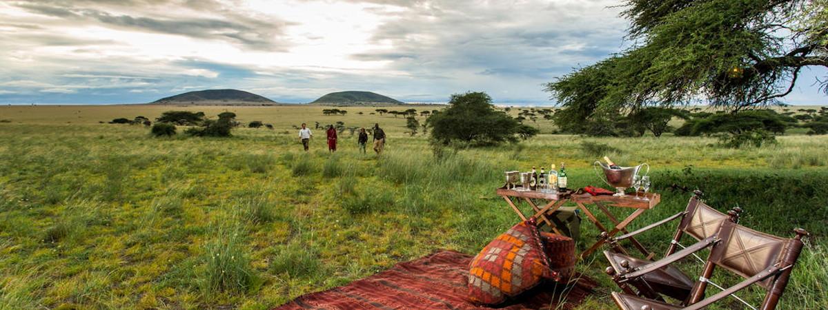 Kenya And Zanzibar Safari