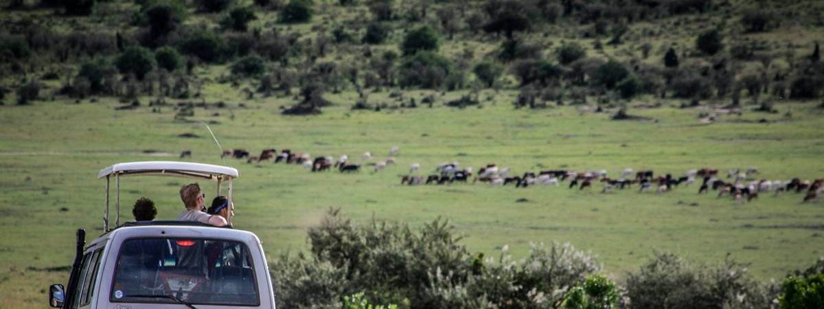 Kenya Wilderness Adventure