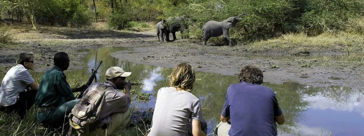 Malawi Big Five Safari
