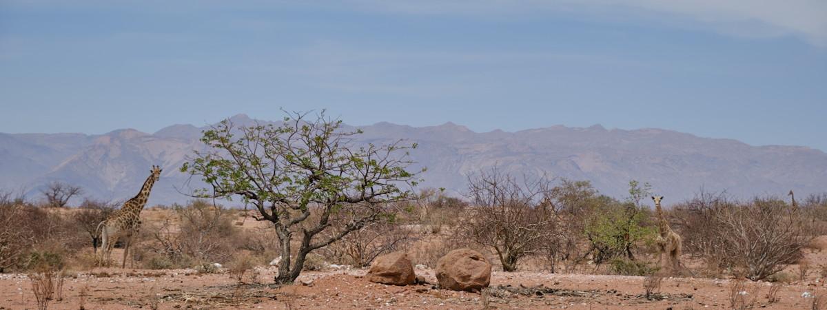 Damaraland