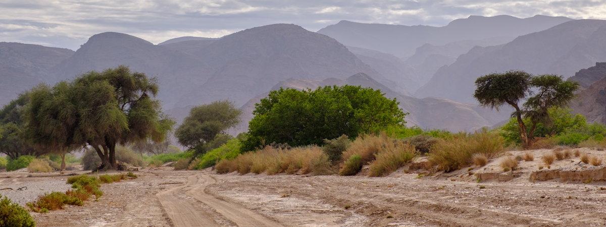 Hoanib River Valley Photos