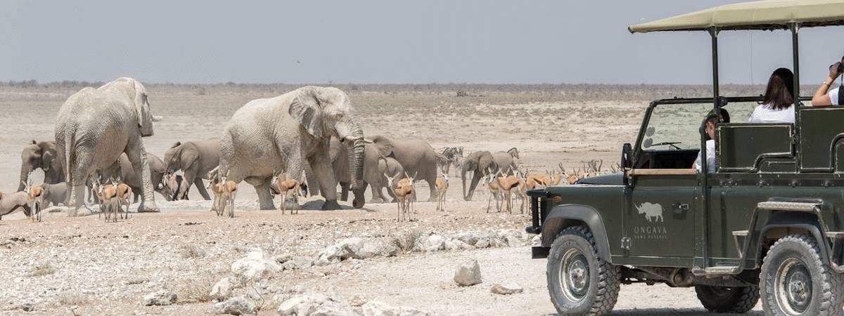 Ongava Tented Camp